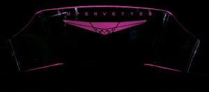 supervettes-pink-wind-reflector